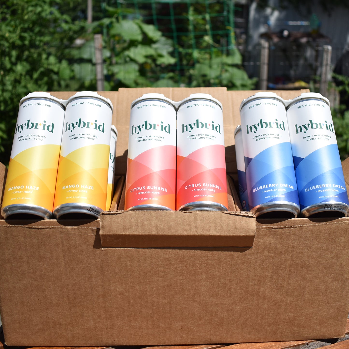 Hybrid Tonic Sampler Pack (12 Pack) Outside
