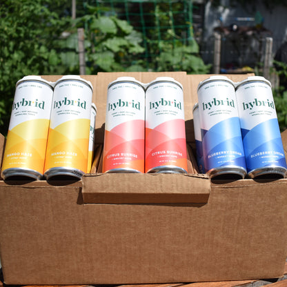 Hybrid Tonic Sampler Pack (12 Pack) Outside
